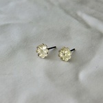 プチディジーピアス