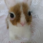 〔081302様専用ページ〕ウサギちゃん🐰