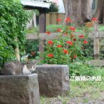 ★ご依頼品★防災頭巾カバー他