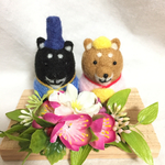 シバのひな祭り♬