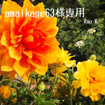 amaikage63様専用ページ