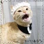 送料無料☆彡《受注製作》なりきりメイド♡メイドさんのコスプレ風〜猫の首輪