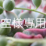 空様 専用スワッグでガーランド ミニバラ他