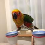 7color7coco様オーダー分