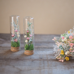 新作 植物標本 little garden 
