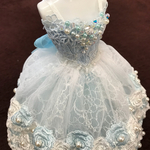 バレエチュチュ・雪の女王