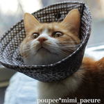 セミオーダー　猫ちゃんふわふわカラー＊ヒョウ柄グレー