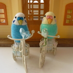 自転車に乗って♪セキセイインコ（ブルー）