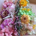プリザーブドフラワー　花材BOX　2色