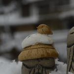 豆地蔵の雪見笠(小鳥)