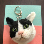 福井様専用猫ちゃん