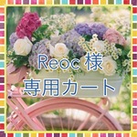  Reoc 様 専用カート ブライス ワンピース、ブラウスセット