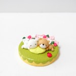 くまさんとうさぎさんのお昼寝
