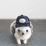 ロゴサテンキャップ(黒)☆ハリネズミ・小動物用