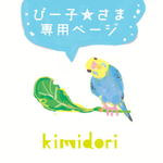 ぴー子★様 専用ページ 