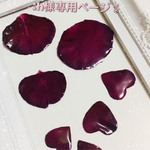 ⁑h様専用ページ⁑