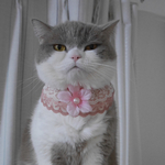 [桜] 首飾り
