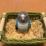 ボタンインコちゃん（ターコイズブルー）