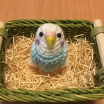 セキセイインコちゃん（パステルブルーホワイト）