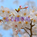 るる様専用です