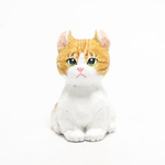 コルクのアメリカンカール子猫・茶白