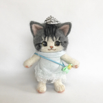ティアラを乗せた、サバ白さん