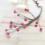 ◇nunohana  for display◇pepper berry