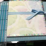 おすそ分けファイル  収納ファイル  送料無料