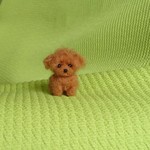 トイプードル  レッド パピー 羊毛フェルト