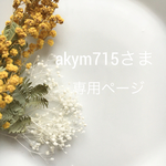 akym715さま 専用ページ