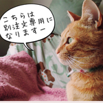 h様専用☆ご注文☆置物×2