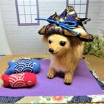 オーダー様用　チワックスの子供の日