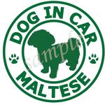 犬  ステッカー （マルチーズ_白緑）防水 車用