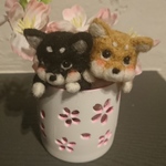 ＊桜のカップに入った2匹の豆柴くん　置物＊