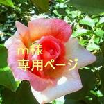 【m様専用ページ】【SALE】碧のしずく＊*ネックレス。