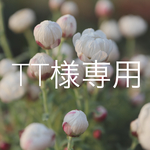 tt様 専用