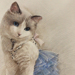 Petit bonhuer様専用