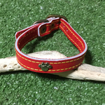 犬猫用革の首輪SSサイズ