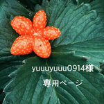 yuuuyuuu0914様専用ページ