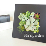 【贈り物に♡】多肉植物 ウォールアレンジメント ギフト【壁掛けも◎棚に置くことも◎】