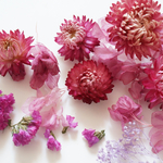 ヘリクリサムと花材セット