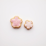 限定＊桜　Icing cookie brooch