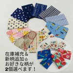 2個選べる♪ミニサイズティッシュケース