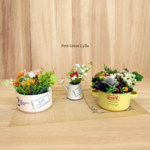 Petit Green Arrange 210