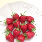 アートのいちごの花材♪