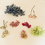 ハーバリウム花材キット antique