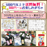 全品含む5000円以上で送料無料！レジン資材おたのしみがちゃ【300円】