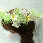 プルメリアの花冠