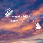 ＊ageha-b様専用オーダーページ＊