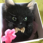 羊毛フェルト黒猫のブローチ